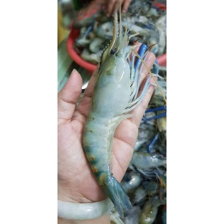 Bánh Phồng Tôm Càng Xanh