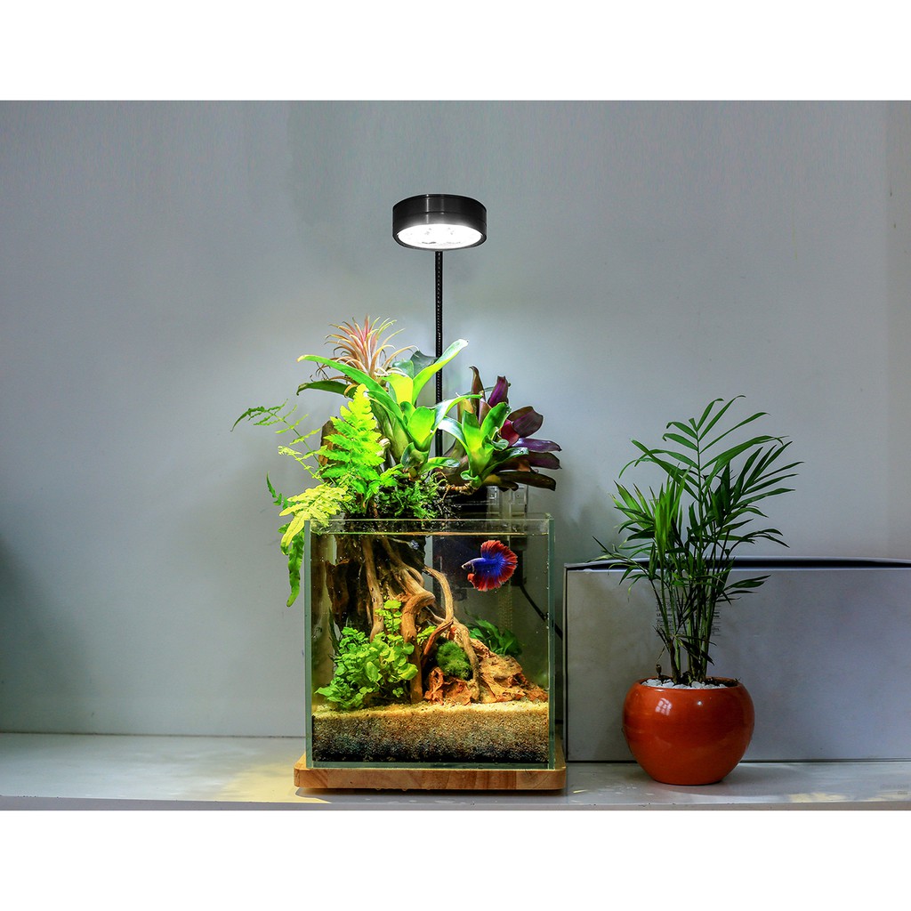 Đèn đế gỗ cao cấp 3w/5w/5W RGB/7w/7w RGB/7w_1m/9w_1m/12WRGB_1m