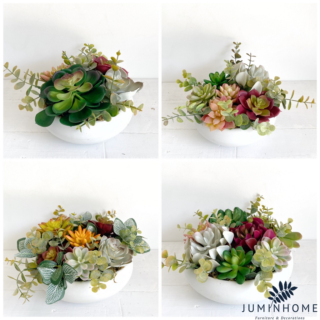 Cây giả Decor - Chậu sen đá bát Decor Trang trí để bàn