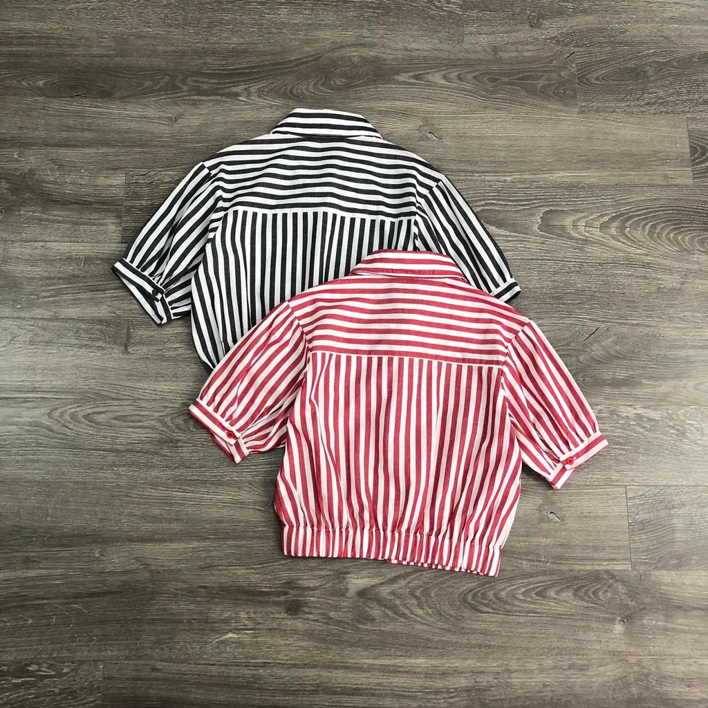 Áo sơ mi nữ MIXXO sọc lưng bo 2 màu KAMI