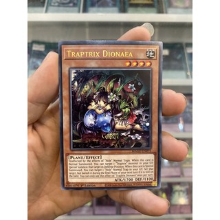 Thẻ Bài Lẻ YugiOh! Mã MAGO-EN075 - Traptrix Dionaea - Gold-Letter Rare - 1st Edition
