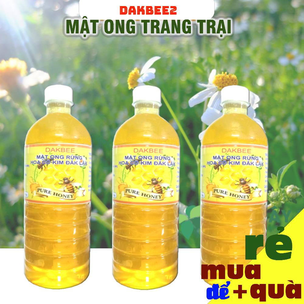 1 LÍT Mật ong rừng hoa cỏ kim nguyên chất - dakbee - giàu dinh dưỡng, tăng cường sức đề kháng