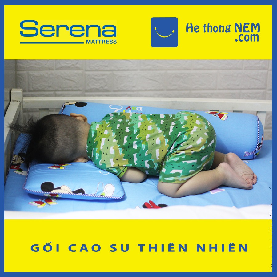 NNN Bộ gối đệm nệm nằm ngủ cao su non cho bé sơ sinh SERENA cao cấp 4 MÓN, đệm nệm ngủ cho bé sơ sinh đi học