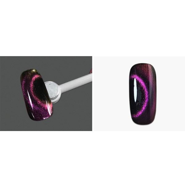 Sơn gel AS mắt mèo 5D