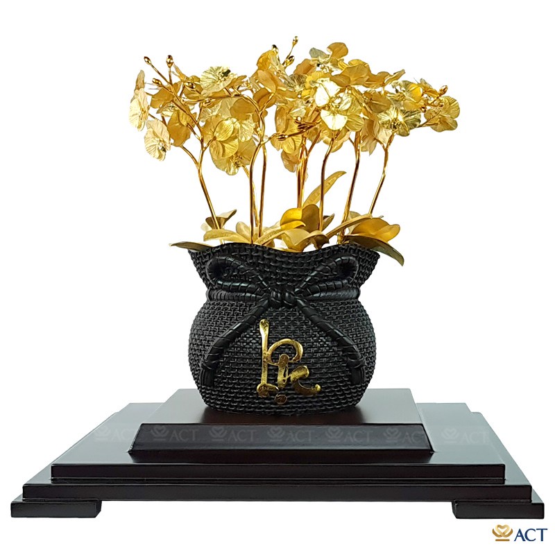 CHẬU LAN HỒ ĐIỆP 11 CÀNH- quà tặng vợ, quà tặng bạn gái, quà 20/10, quà 8/3, quà valentine, quà giáng sinh