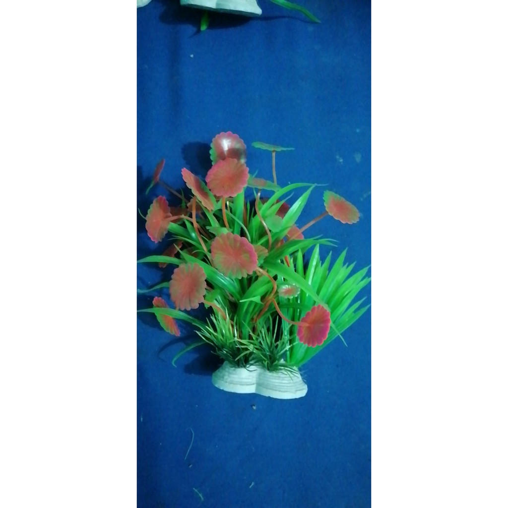 Cỏ hoa trang trí bể cá nhiều màu 15cm