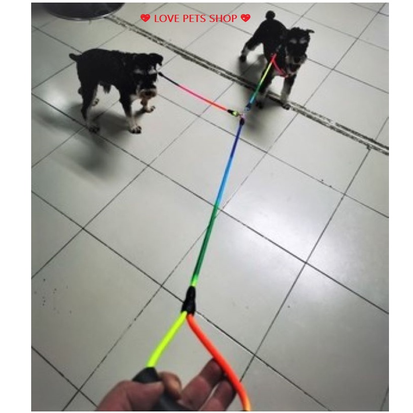BỘ DÂY DẮT CHÓ MÈO 2 ĐẦU KÈM YẾM BẢY SẮC CẦU VỒNG - LOVE PETS SHOP