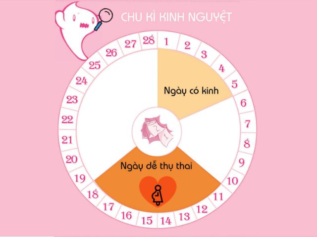 Que thử thai Quick Test hàng Việt Nam chất lượng cao, nhanh chóng, chính xác, đơn giản