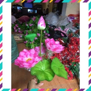 Hoa sen lụa cao cấp_ hoa giả trang trí _Flower