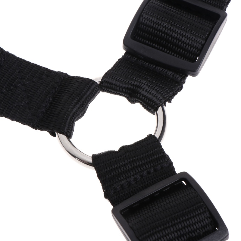 Dây Thắt Lưng An Toàn Cho Thú Cưng Trên Xe Hơi Có Thể Điều Chỉnh