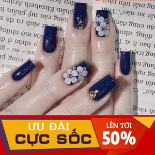 Hoa mai kép dán móng - Hoa bột nail