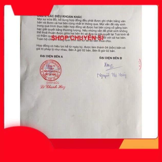 Son rose phiên bản 2019