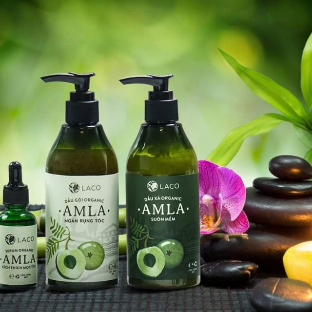 Bộ dầu gội Amla