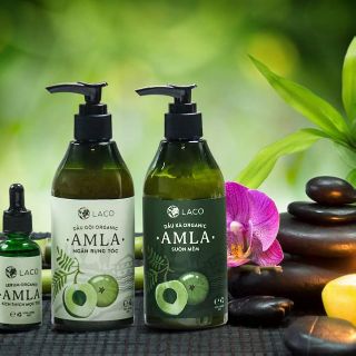Bộ dầu gội Amla
