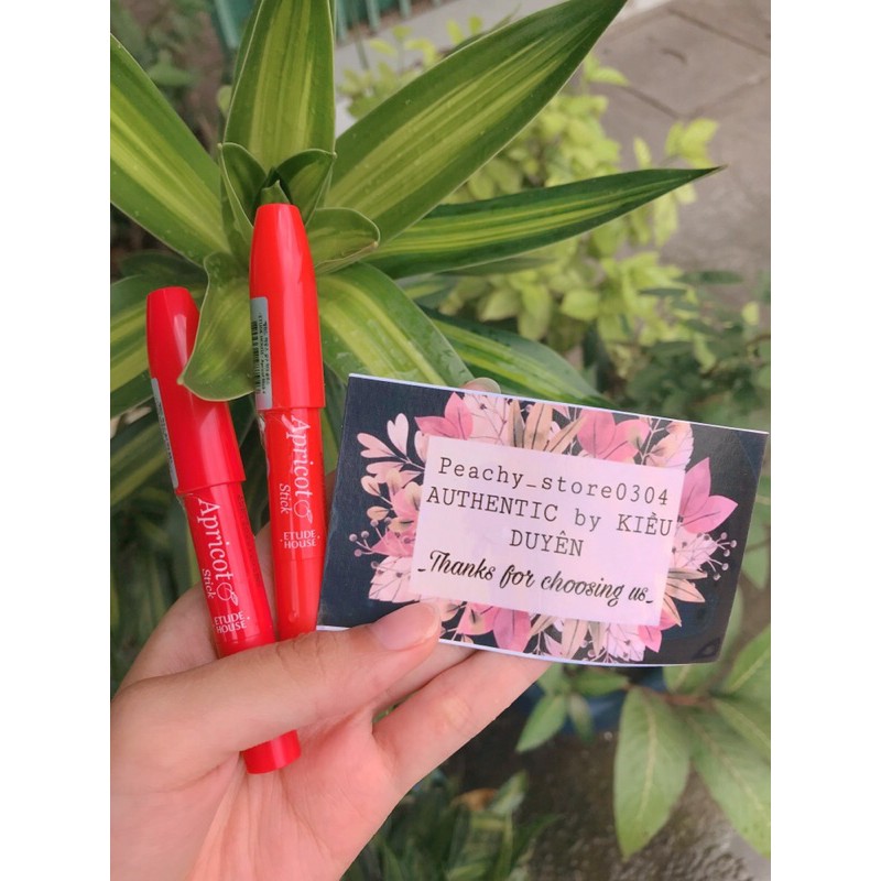 Son Tint Etude house