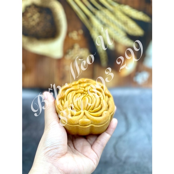 Khuôn bánh trung thu lò xo 150g hoa cúc (Mã 2876)