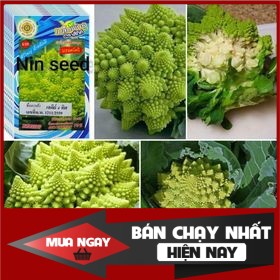 [ Big Sale ] Hạt Giống Súp Lơ San Hô - 200 hạt