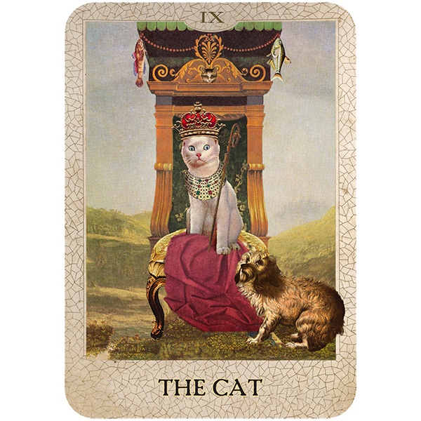 Bộ Bài Original Dog Tarot (Mystic House Tarot Shop) - Bài Gốc Authentic Chính Hãng 100%