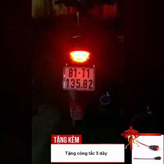 Đèn hậu lái chớp F1