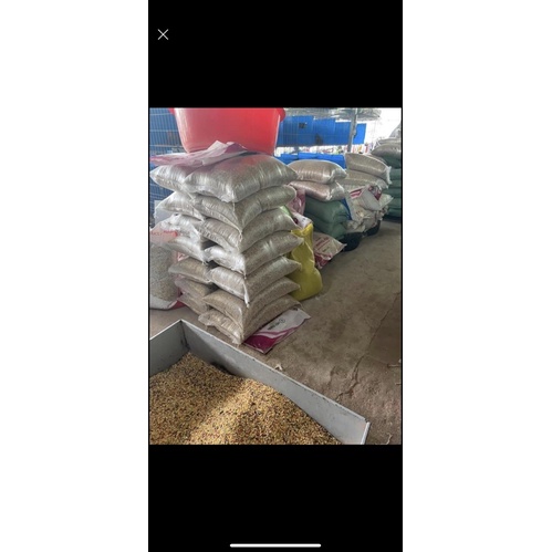 Ngũ cốc gà 17 loại hạt