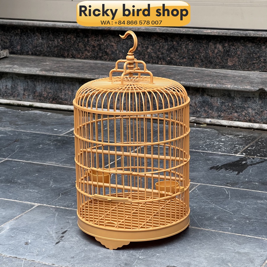 Finch, canary cage (Ricky bird shop)