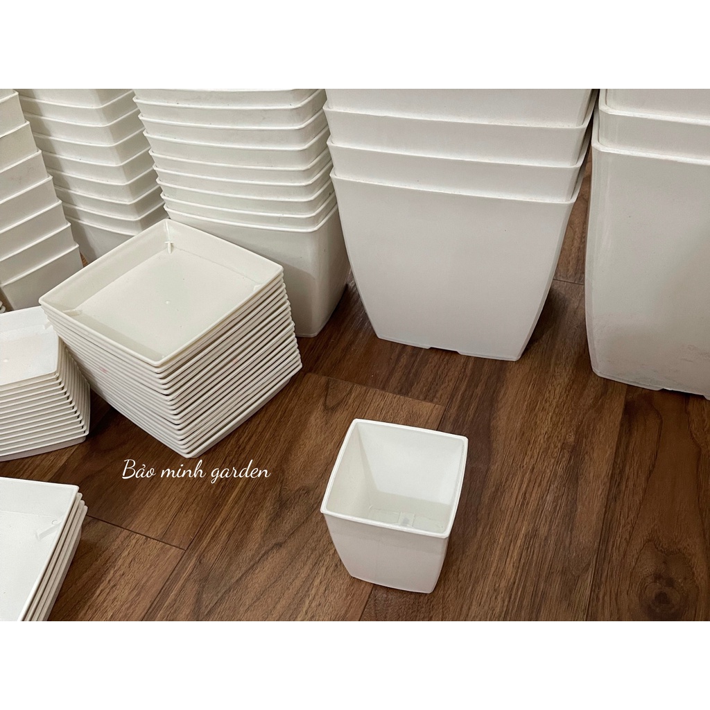 Chậu nhựa vuông 9 x 9cm trồng hoa cây cảnh văn phòng hàng cao cấp của CDT plastis