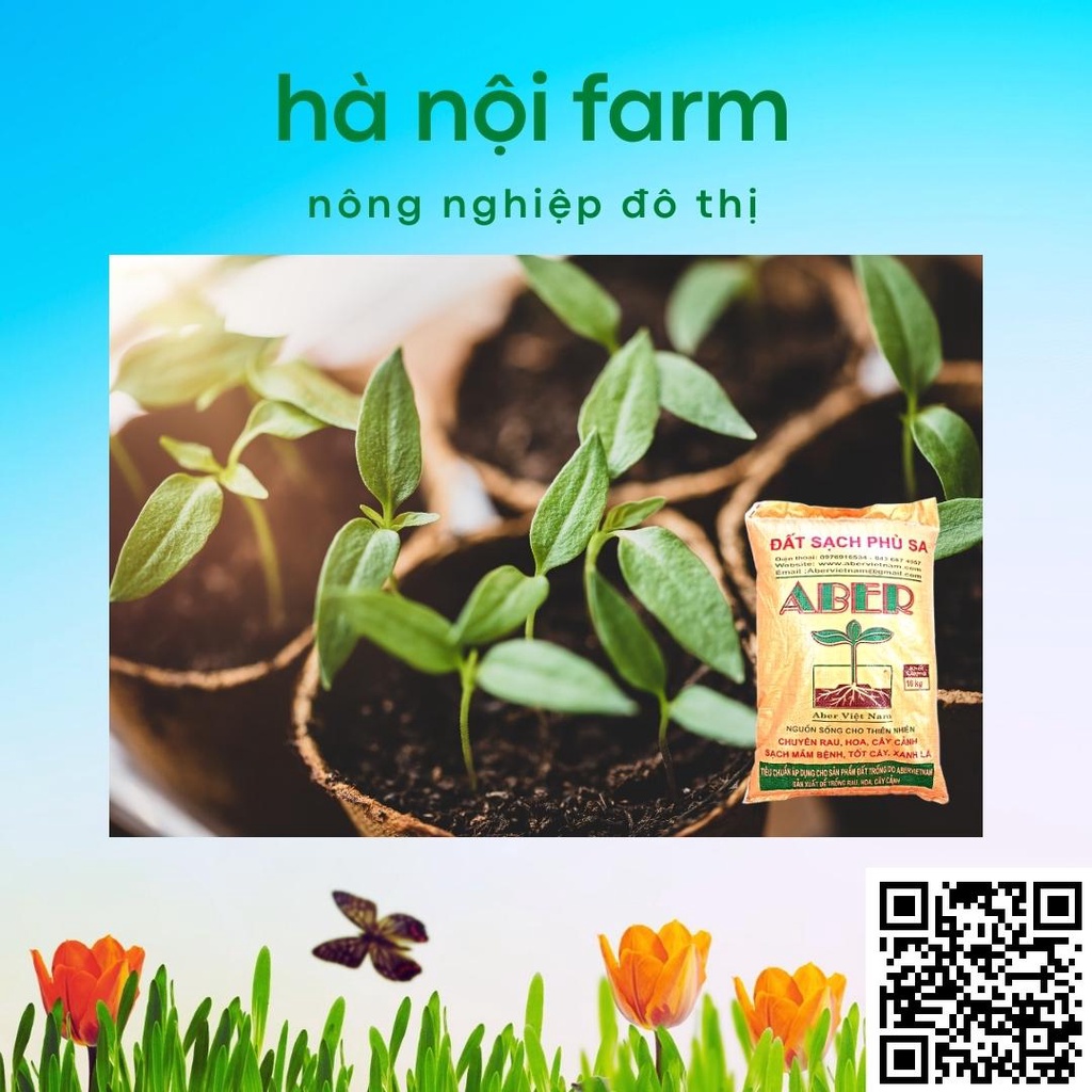 Đất aber. đất sạch trồng cây giàu dinh dưỡng sạch mầm bệnh -
