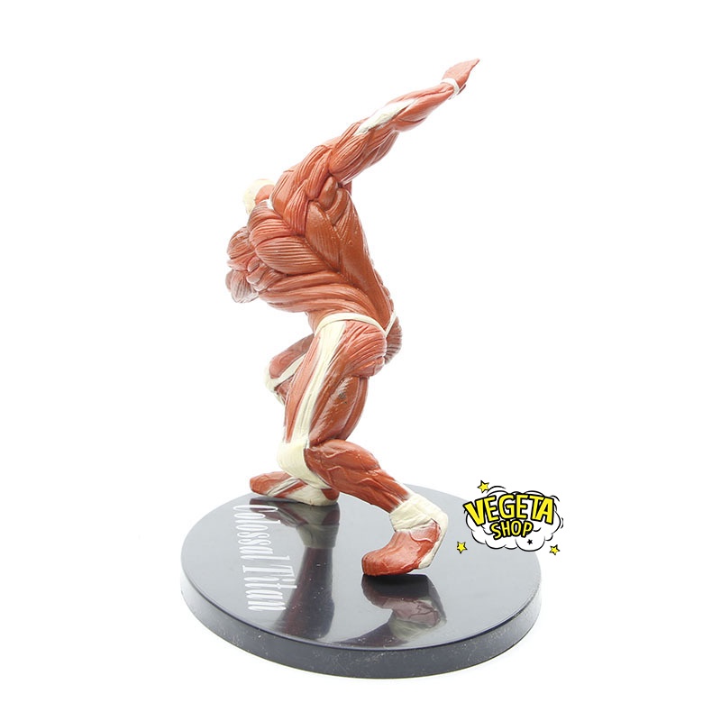 Mô hình Attack On Titan - Titan khổng lồ Colossal Titan - Armin Arlert Bertolt Hoover - Đại chiến Titan - Fullbox - 17cm