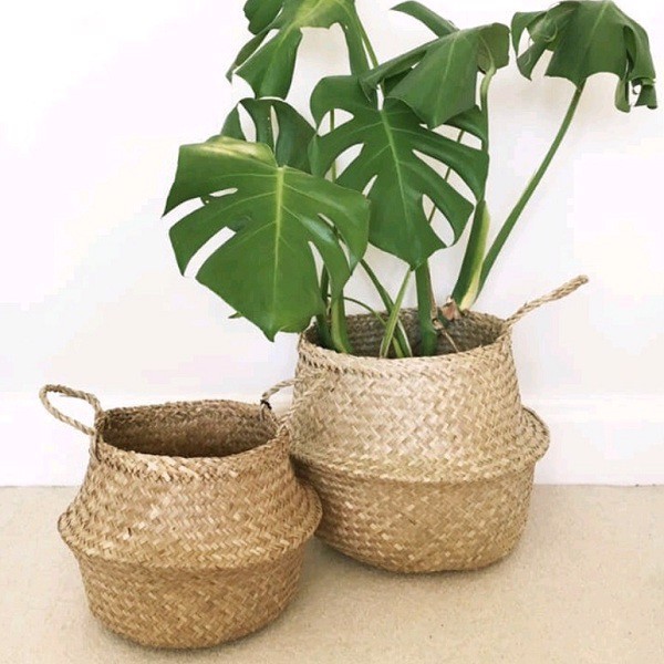 Giỏ cói đựng đồ, trồng cây, cắm hoa, đựng chậu cây, decor, trang trí kích thước 25cm x 27cm. Cói tự nhiên , đan thủ công