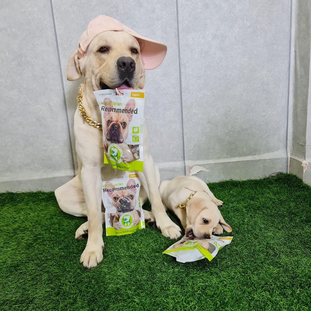 Xương gặm bàn chải Yaho làm sạch răng cho chó, xương cho cún gặm giúp bổ sung canxi Củ Cải Pet Shop