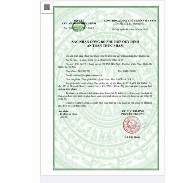 Sâm Angela gold | BigBuy360 - bigbuy360.vn