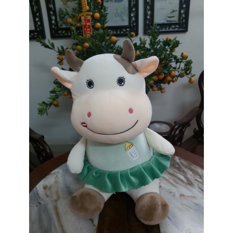 Trâu mặc áo bình sữa