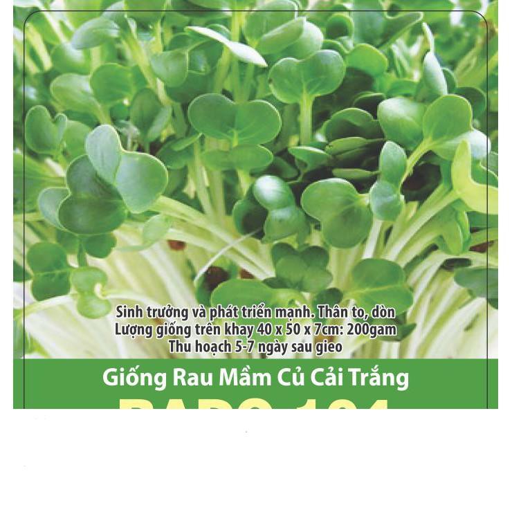 Hạt Giống Rau Mầm Củ Cải Trắng Thu Hoạch Sau 5 Ngày Gói 50gr