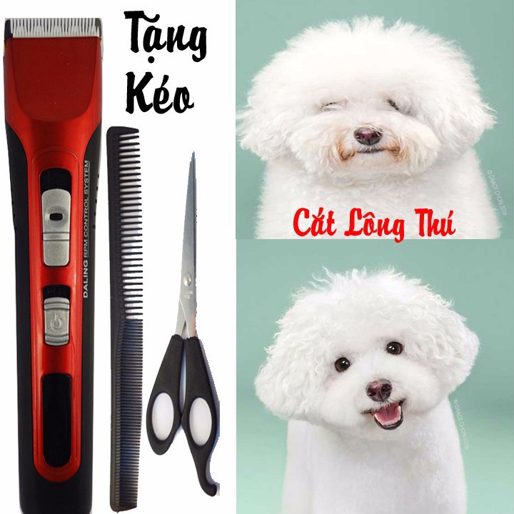 Tông đơ daling cắt tóc cho phái nam ST2S423