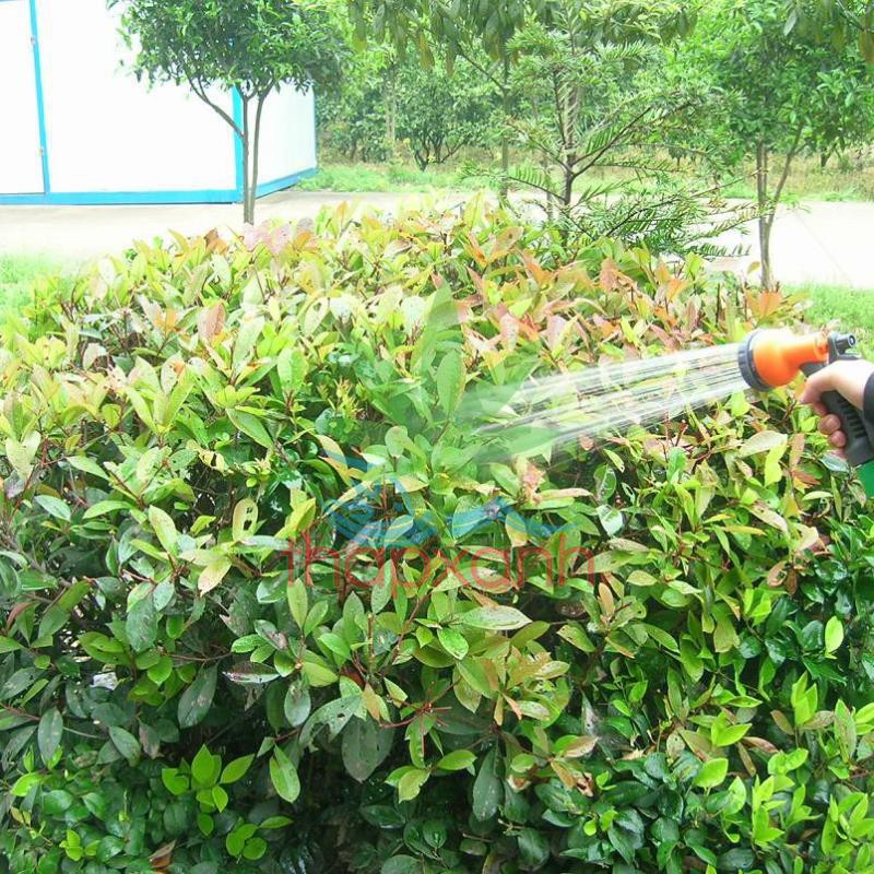 Bộ vòi xịt nước tưới cây, Rửa xe BDT-6232 Vòi 8 in 1 + 15m dây 16mm