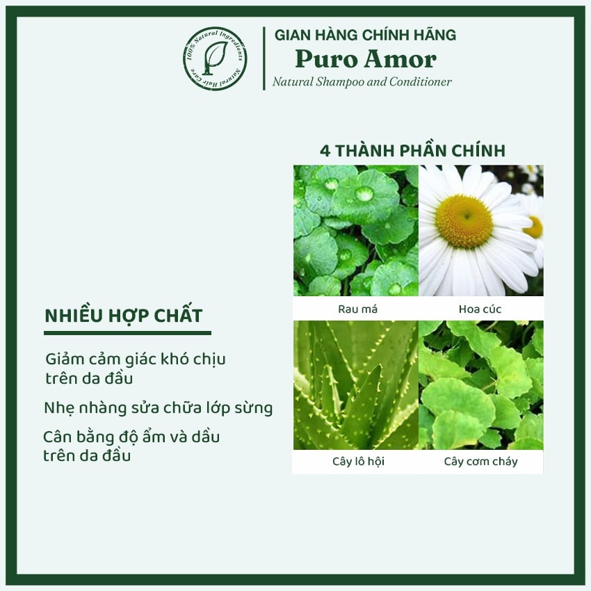 Tẩy tế bào chết da đầu giúp làm sạch da đầu muối tẩy da chết hạn chế gàu hiệu quả PURO AMOR
