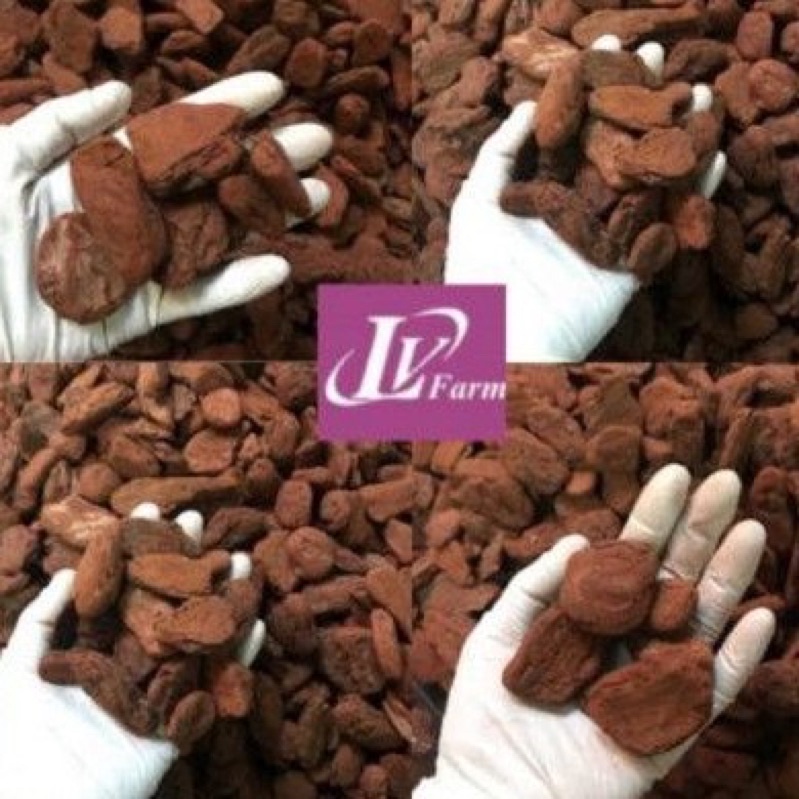 Vỏ Thông Mài Cạnh ORCHIDS BARK 1kg _ LONG VÂN FARM_ giá thể trồng lan