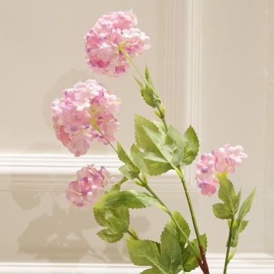 HOA TÚ CẦU / TIỂU TÚ CẦU