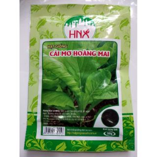 Hạt giống rau cải mơ Hoàng mai