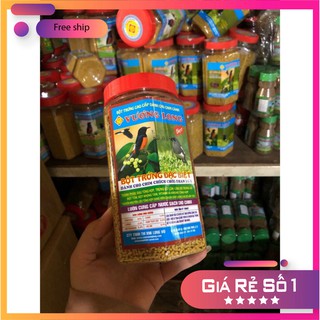 Cám vương long than lửa - cám chim cao cấp.