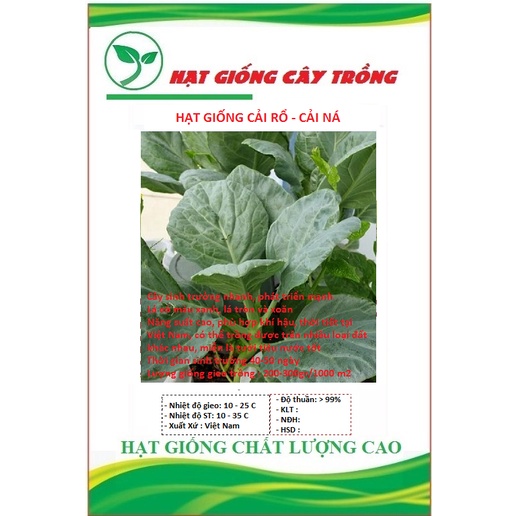 Hạt giống rau cải làn ( rau cải rổ - cải ná ) - 1 gói 5gram