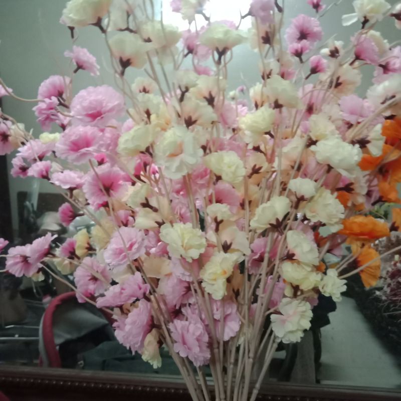 (hot) 10 cành hoa đào râu (tự chọn mẫu ib)