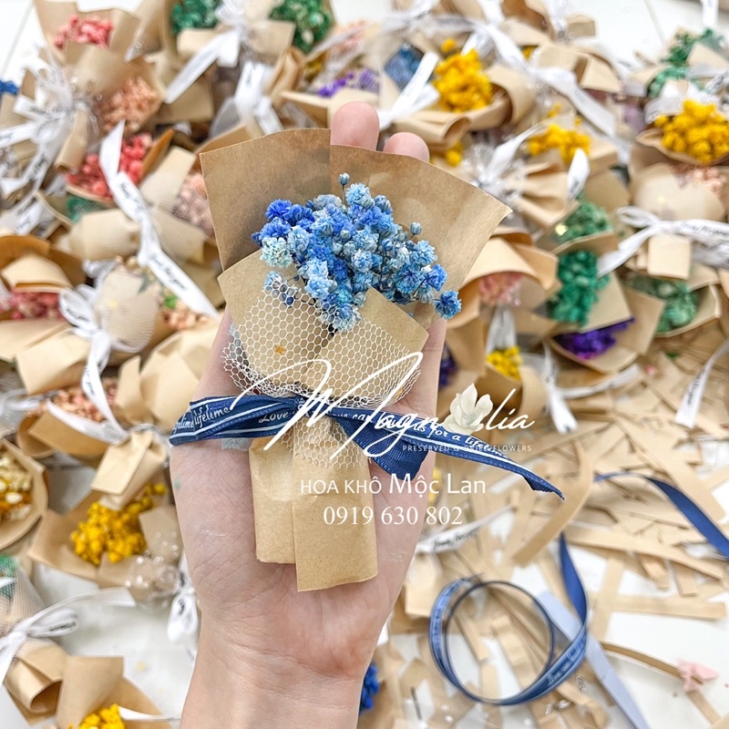 Bó hoa baby mini màu sắc random