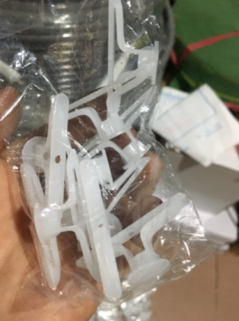 Tắc kê bướm 1 con 8 Ly