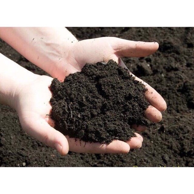 1kg đất sạch trồng cây kiểng, rau sạch