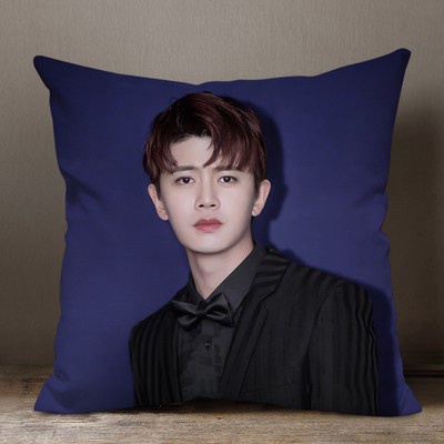 Gối IN HÌNH Nhậm Gia Luân gồm cả vỏ và ruột chất đẹp tiện lợi idol diễn viên cpop