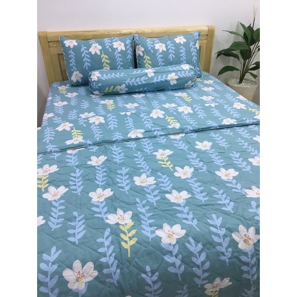 Sale Bộ chăn ga 100% cotton Hàn Quốc 5 món 1m đến 1m8 GỐI ÔM DÂY KHOÁ | BigBuy360 - bigbuy360.vn