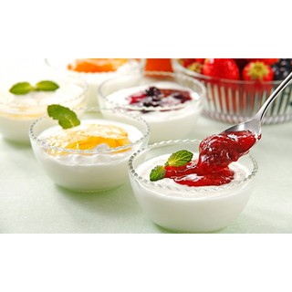 Máy làm sữa chua Kangaroo KG80 (KG-80) - 6 cốc