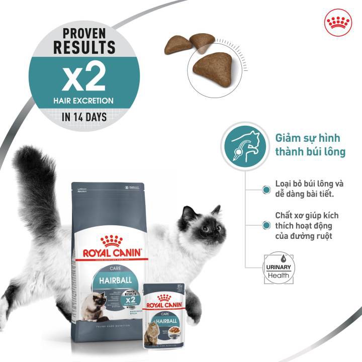 Thức ăn mèo ROYAL CANIN Hairball giúp mèo tiêu búi lông, hạt cho mèo lông dài