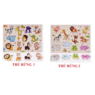 Combo 5 bộ Bảng Gỗ Ghép Hình Có Núm